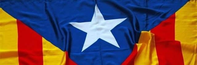 molidelpont's profile banner image