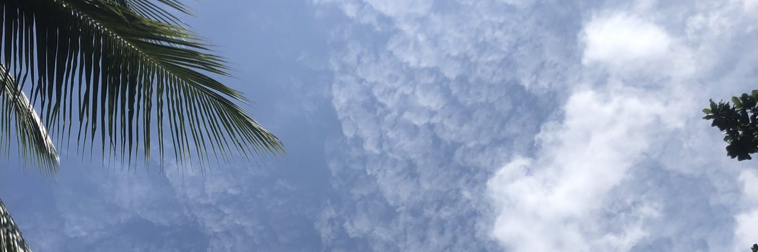 madameproducer. banner