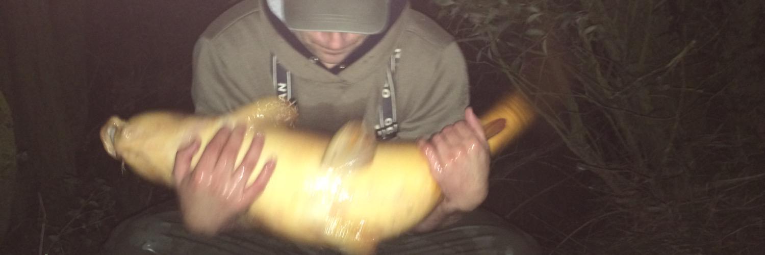 mikestocker007's profile banner image