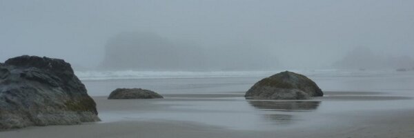 jodidevries Profile Banner