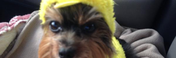 SteveFurey Profile Banner
