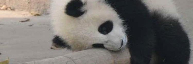 clemence_dy's profile banner image