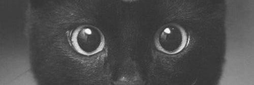 Jopitoo's profile banner image