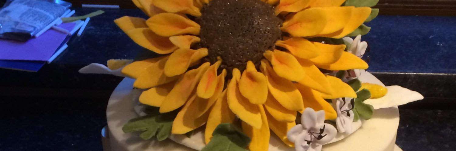 tracypattison1's profile banner image