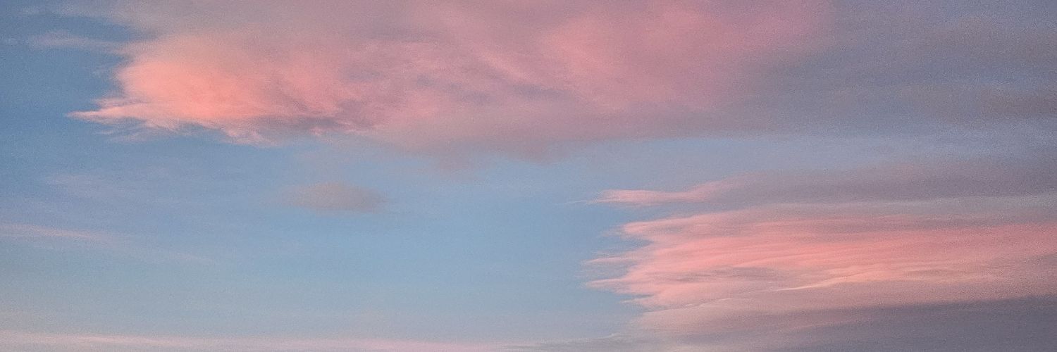 chlomirfin's profile banner image