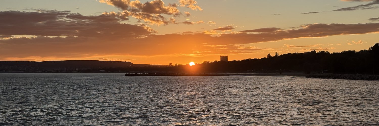 Αλέξιος NAFO fella banner