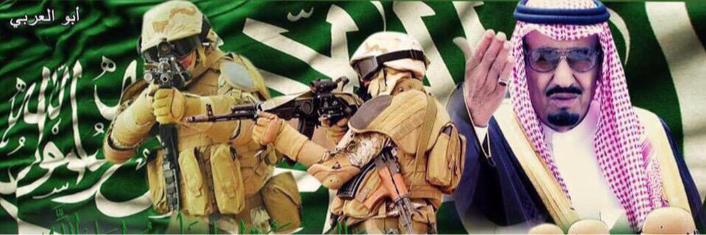 Saudalsmaaeel's profile banner image