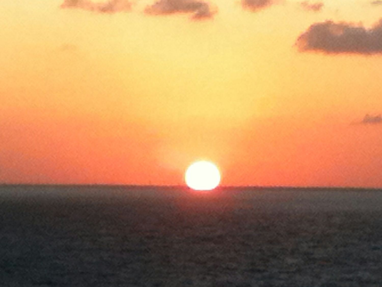 Bincy Abraham, MD, MS banner