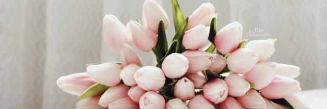 arwa__chan's profile banner image