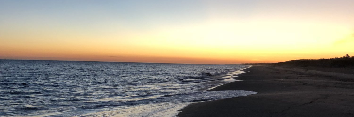 pedrobosch12's profile banner image