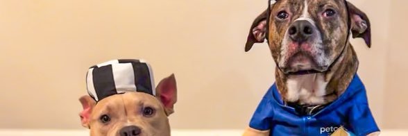 Eric_Sauer5's profile banner image