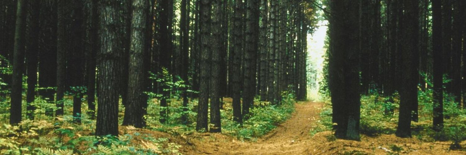 AL Forestry Assoc Profile Banner
