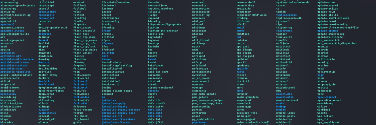 0x0fff banner