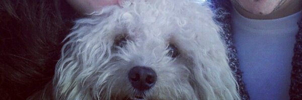 Aidahoney7 Profile Banner