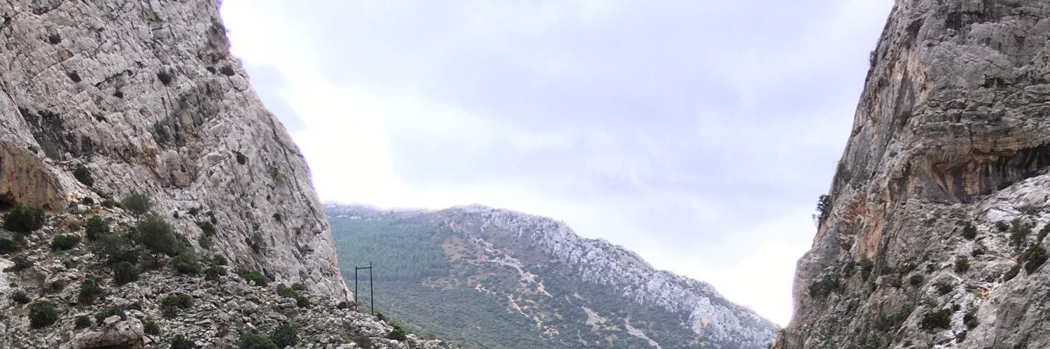 Guilleantro's profile banner image