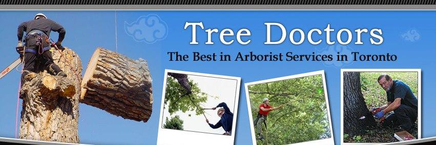 treedoctorsca's profile banner image