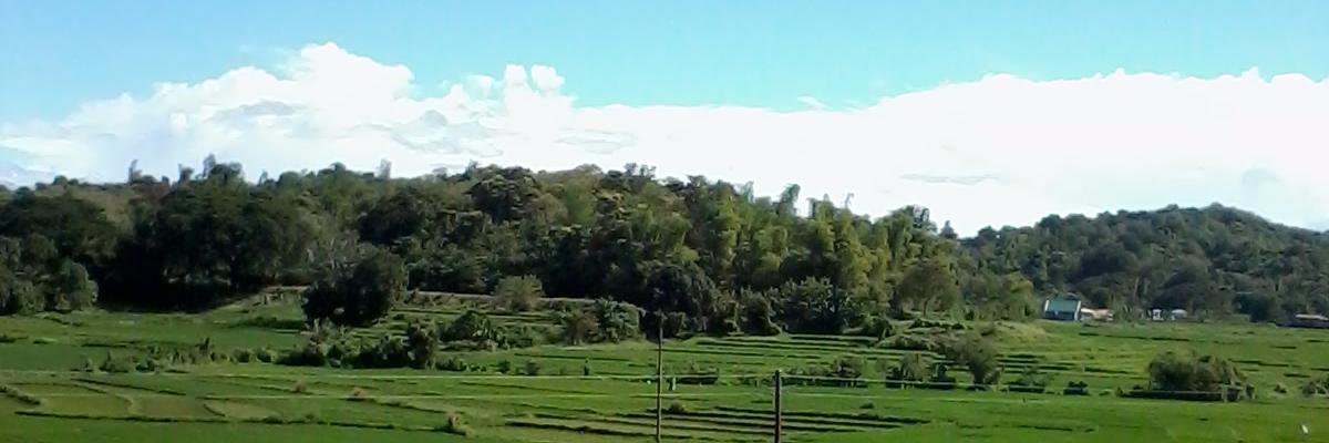margie_29's profile banner image