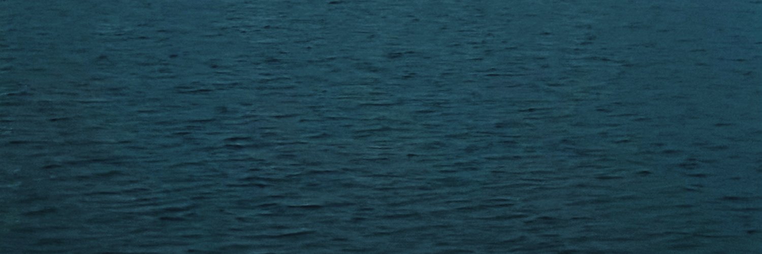 ninaldsma's profile banner image