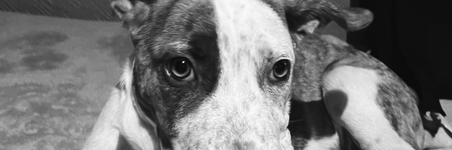 belpaskk's profile banner image