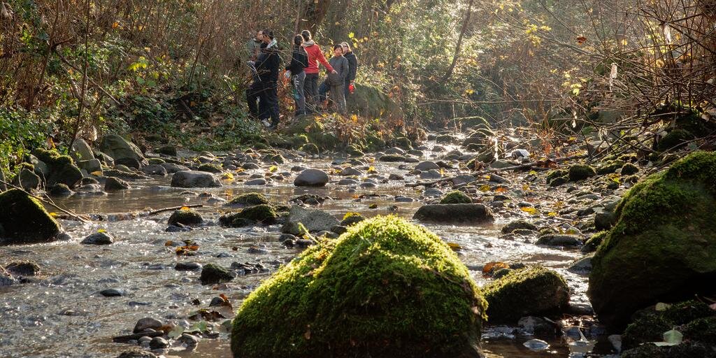 EvergreenBC's profile banner image