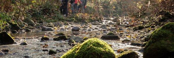 EvergreenBC Profile Banner