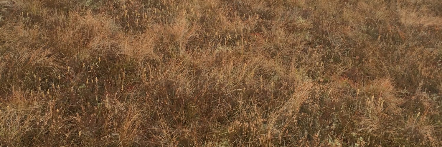 Fairfield63's profile banner image