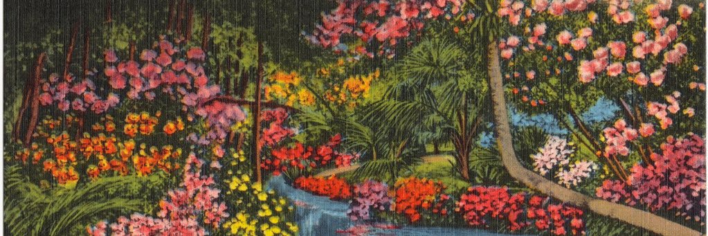 AnneSallee's profile banner image