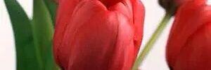 kk538281's profile banner image