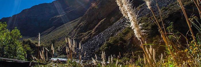 R1ALBA's profile banner image