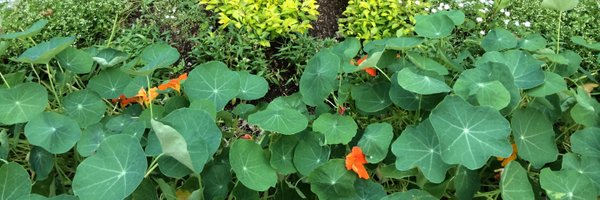 kenamarit Profile Banner