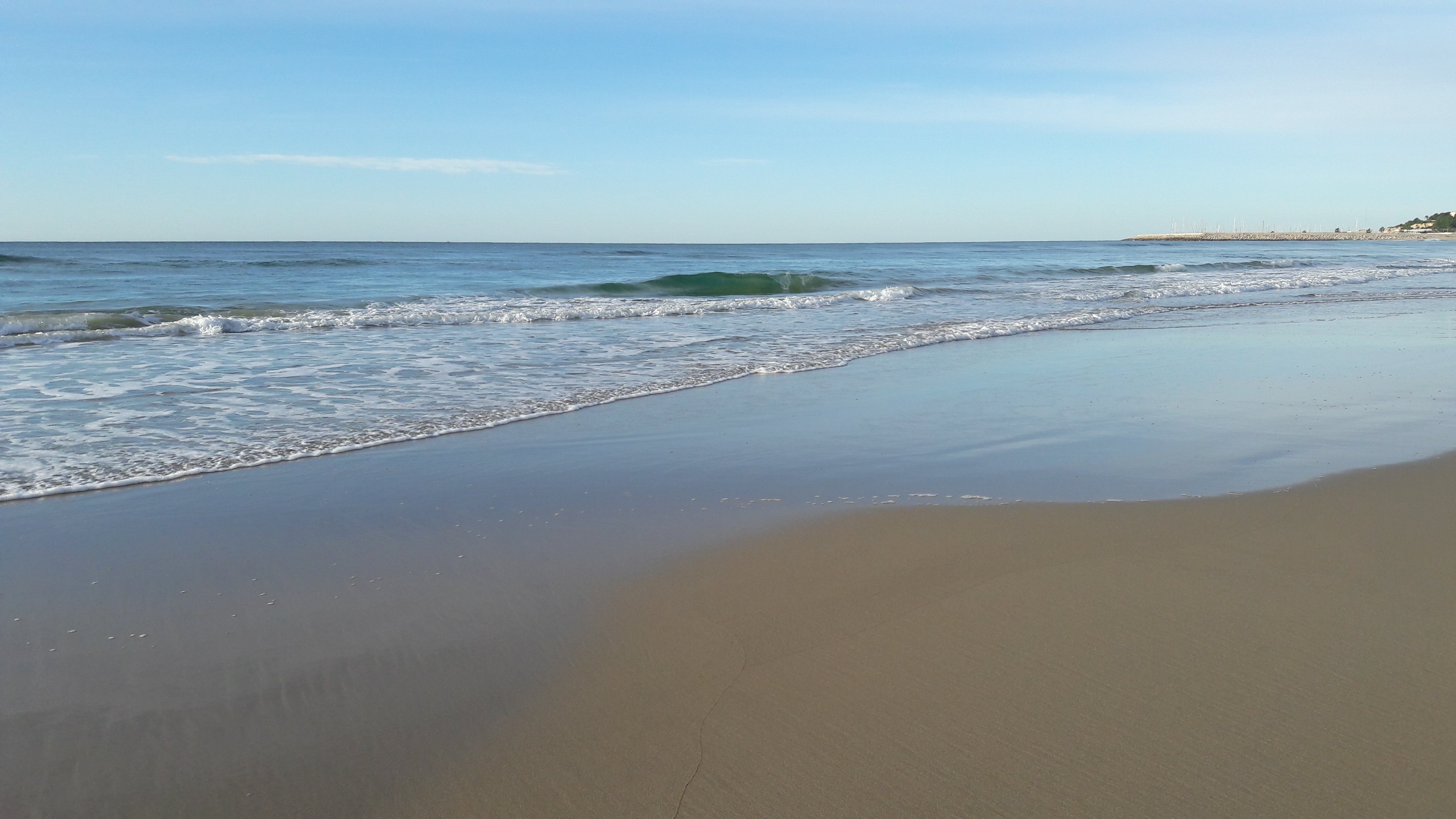 Jonquera Arnó🎗 banner