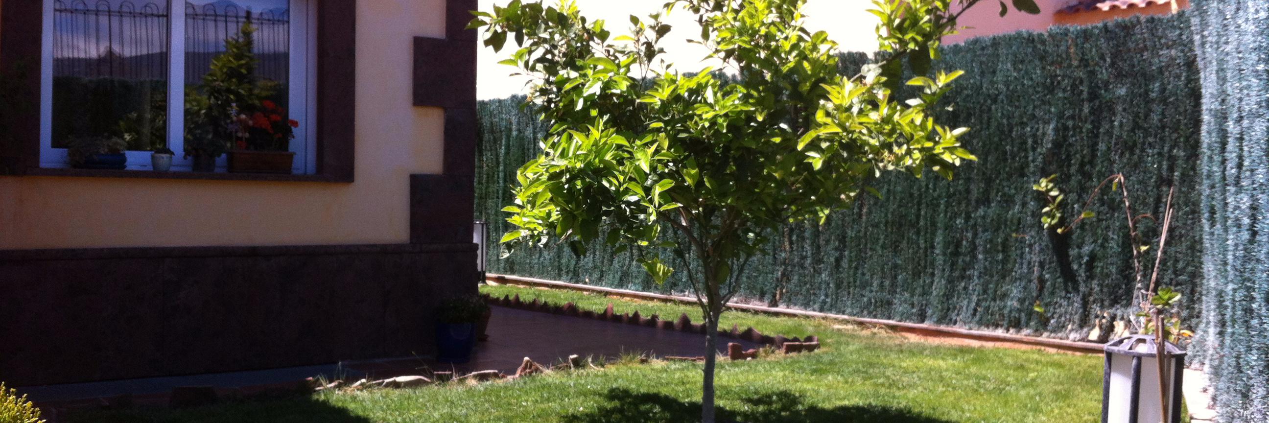 JOSCLEMENTE1's profile banner image