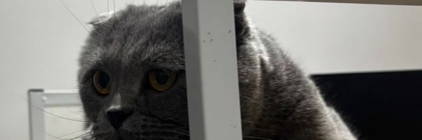 Filli_0's profile banner image