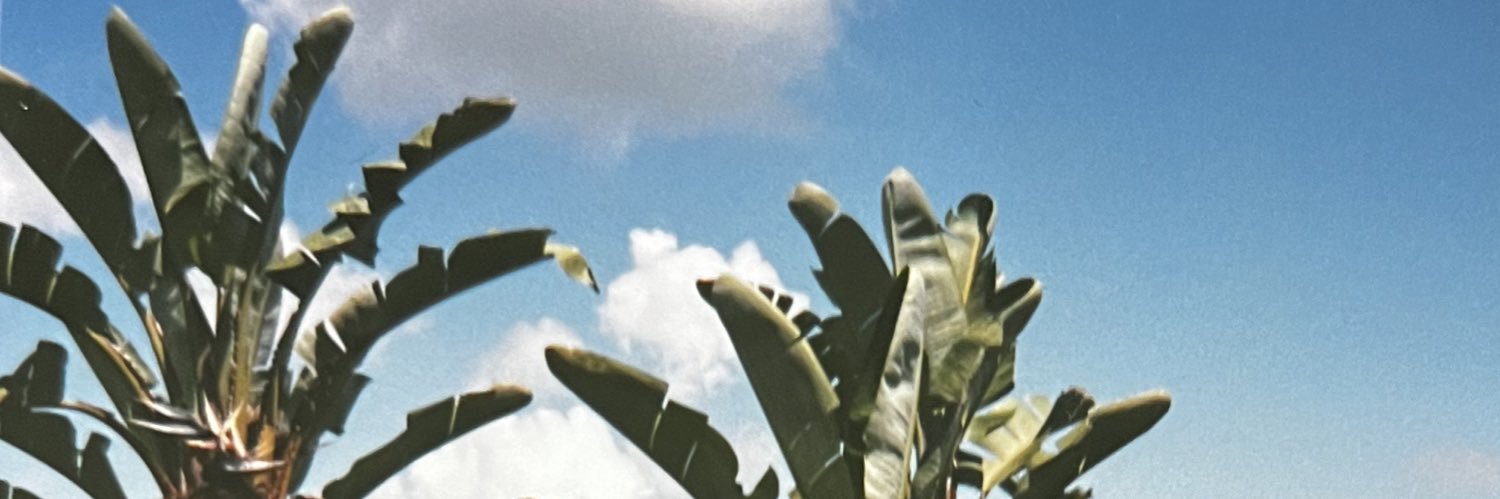 edennoha's profile banner image