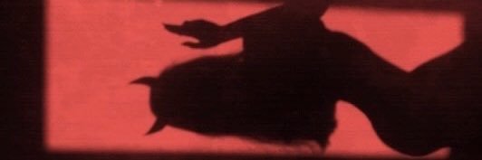 expensivehighs's profile banner image