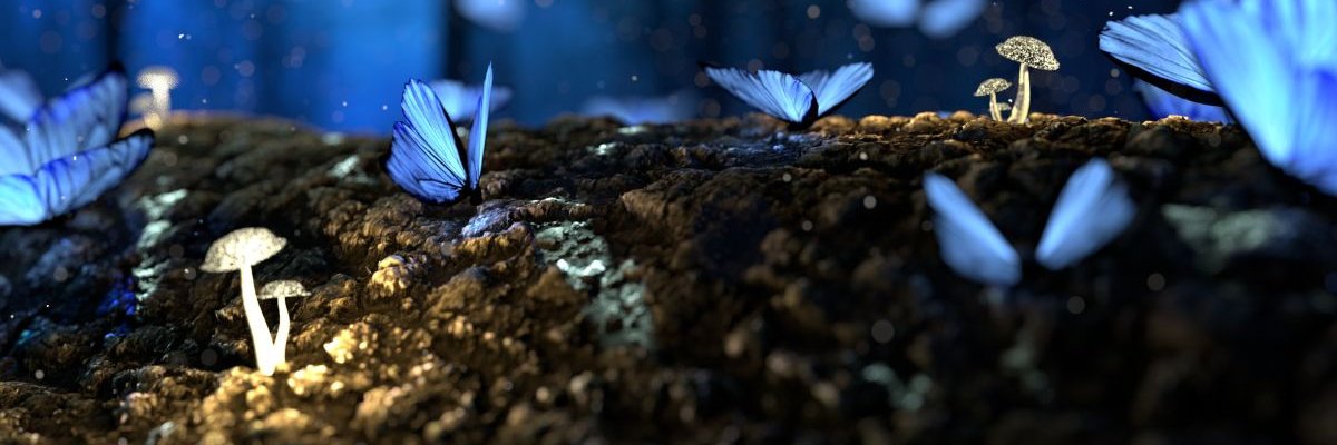 ThuTrang1313's profile banner image