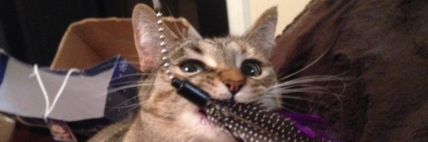 AndySher1 Profile Banner