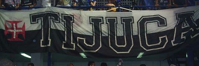 E. Avallone banner