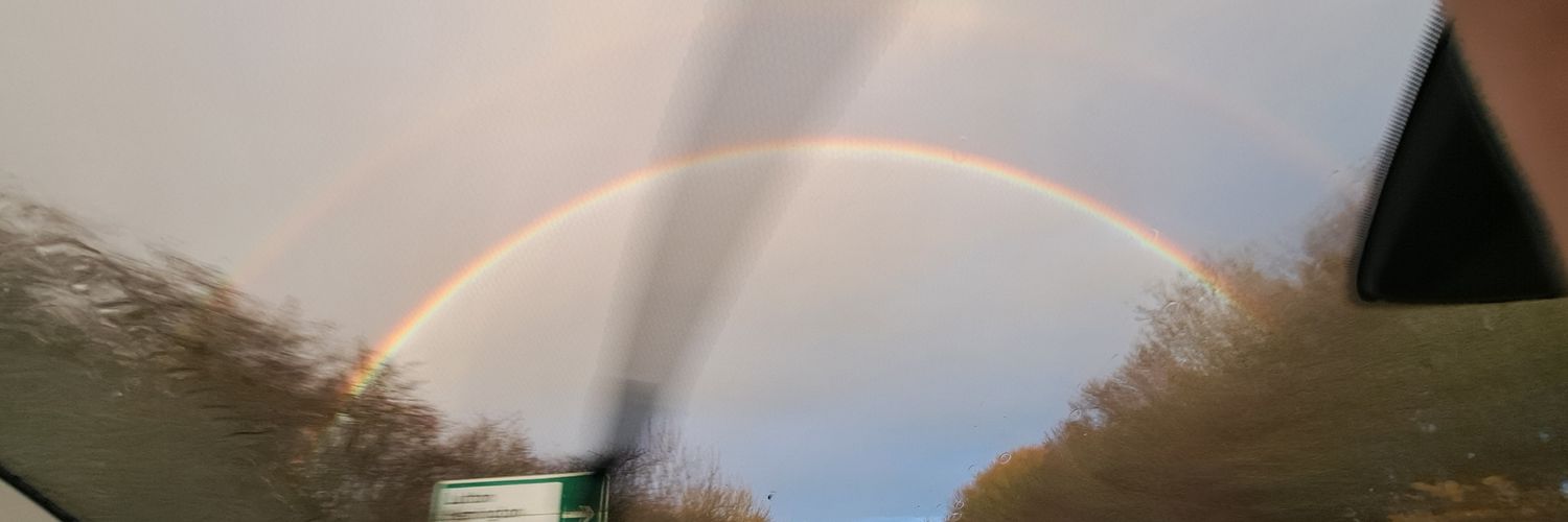 Mandy Williams banner