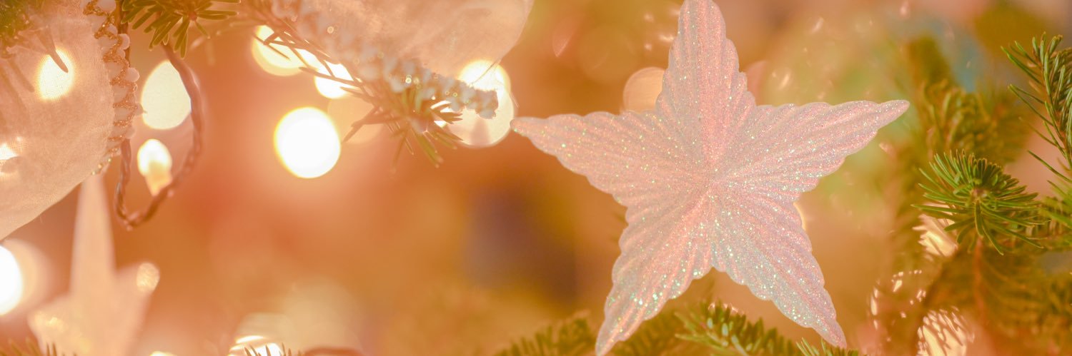 るか📸ざっそうポケモン banner
