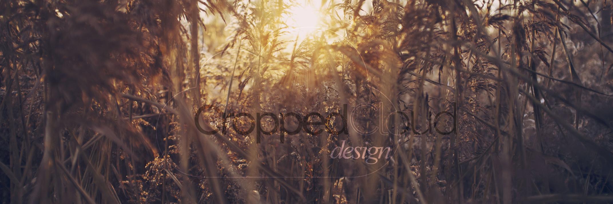 AndrijaGrkovic's profile banner image