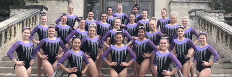 WSU Gymnastics banner