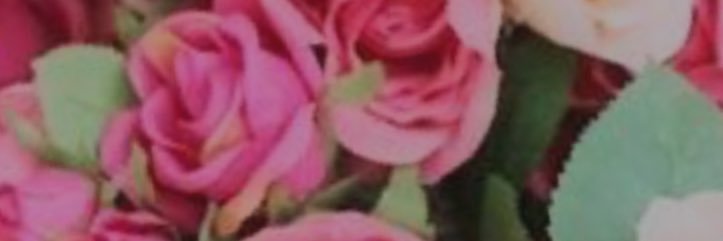 _viick23's profile banner image