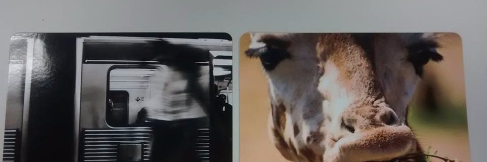 Muritavo's profile banner image