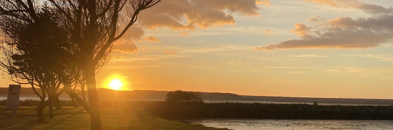 raphaelareginaa's profile banner image