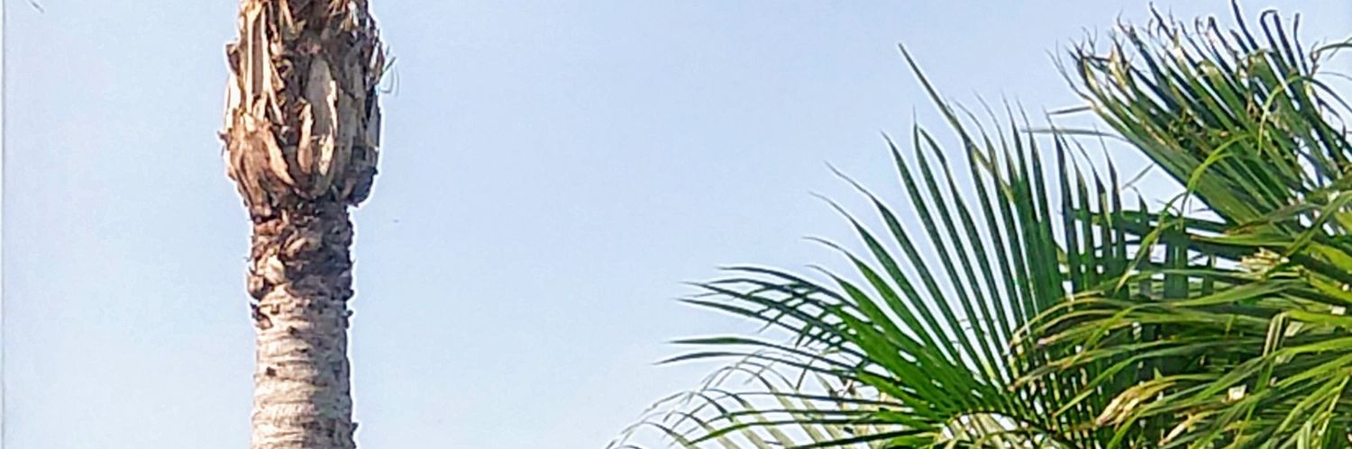 OhKTay's profile banner image