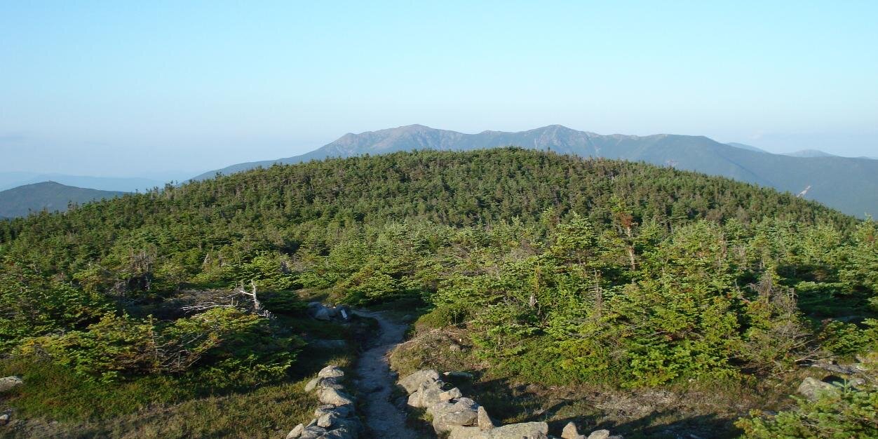 rralbritton's profile banner image