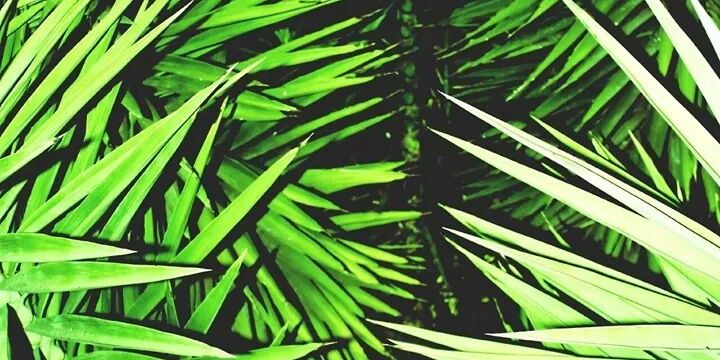 Cesar_Beltran12's profile banner image