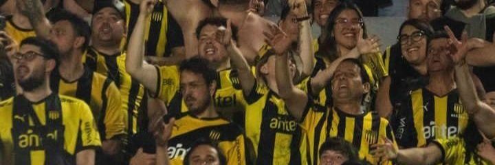 elpeterbartolo's profile banner image