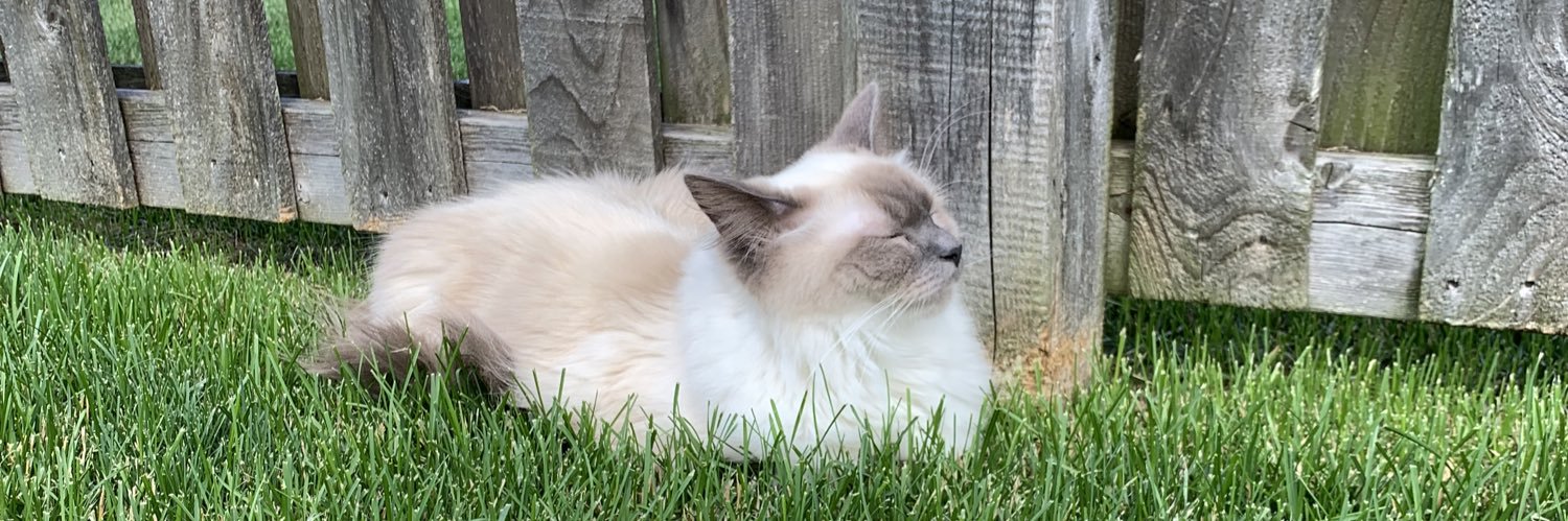KateTulley's profile banner image